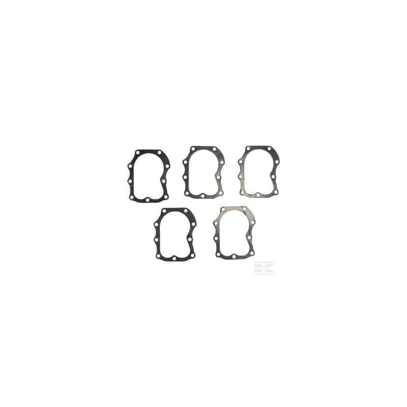 Briggs et Stratton 4121 Joint de culasse 5 X 272163S