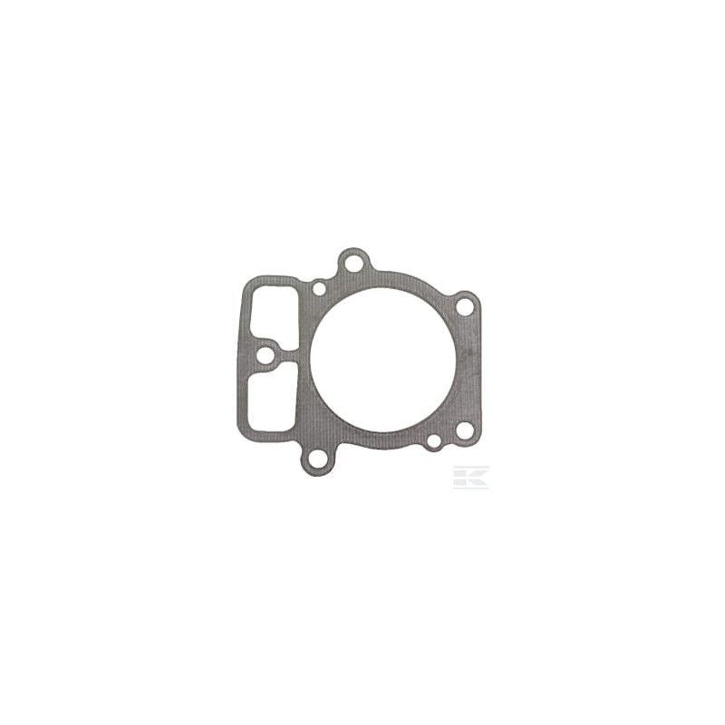 Briggs et Stratton 693997 Joint de culasse