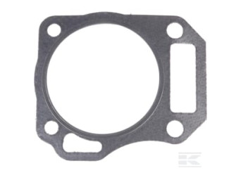 Briggs et Stratton 591445 Joint de culasse