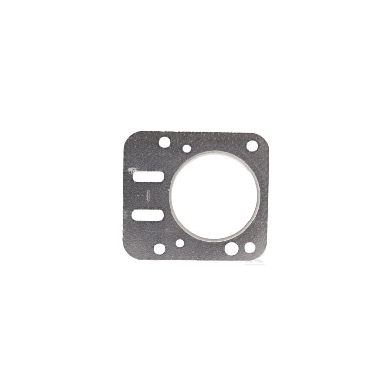 Briggs et Stratton 798461 Joint de culasse