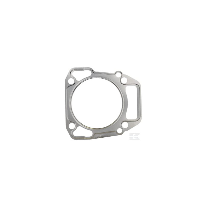Briggs et Stratton 712429 Joint de culasse
