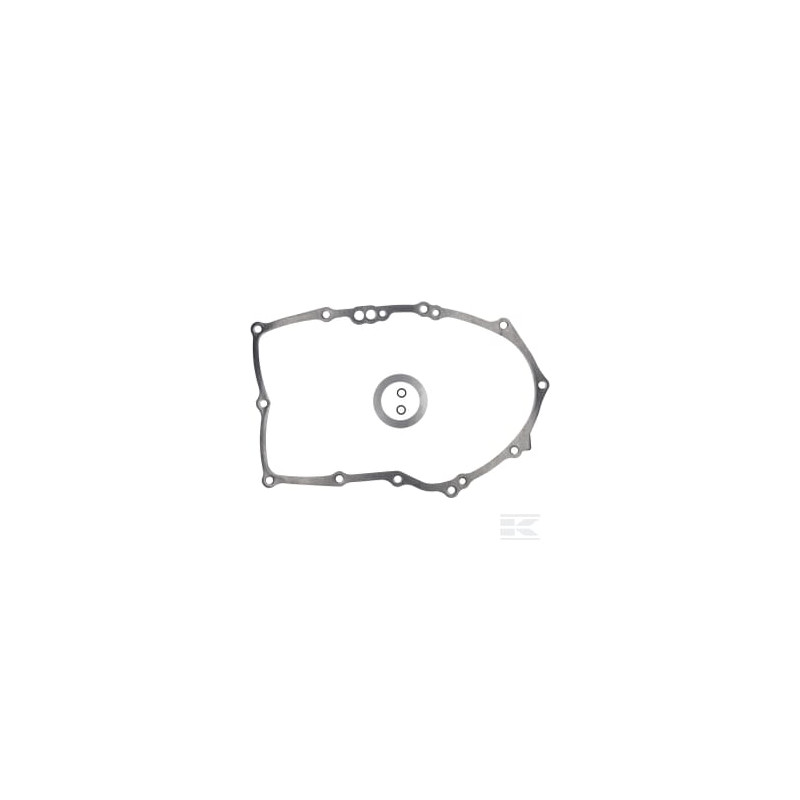 Briggs et Stratton 846037 Gasket-crankcase 015