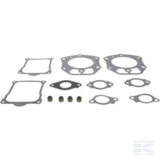 Briggs et Stratton 846672 Kit d'étanchéité, soupape