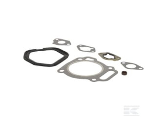 Briggs et Stratton 593113 Kit d'étanchéité, soupape
