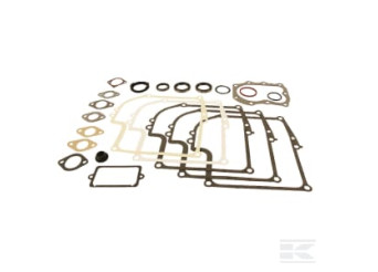 Briggs et Stratton 299577 Kit de joints
