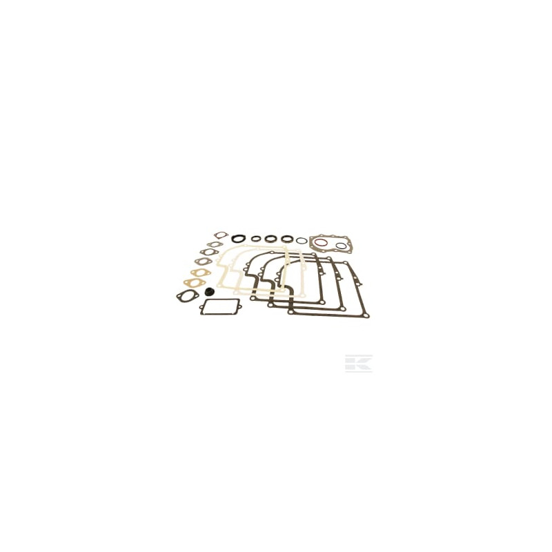 Briggs et Stratton 299577 Kit de joints