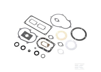 Briggs et Stratton 299719 Kit de joints