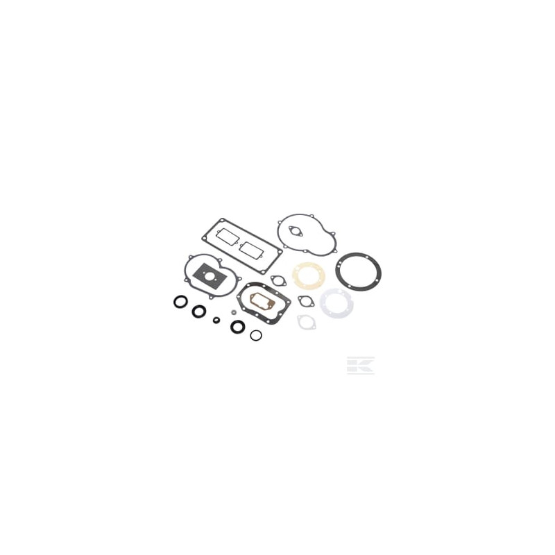 Briggs et Stratton 299719 Kit de joints