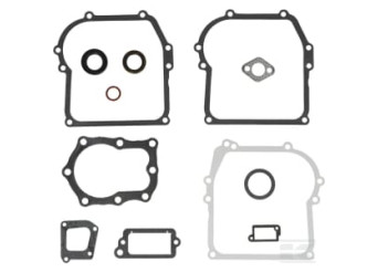 Briggs et Stratton 391662 Kit de joints