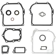 Briggs et Stratton 391662 Kit de joints