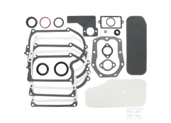 Briggs et Stratton 393411 Kit de joints