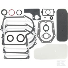 Briggs et Stratton 393411 Kit de joints