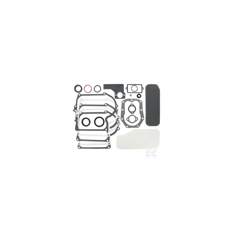 Briggs et Stratton 393411 Kit de joints