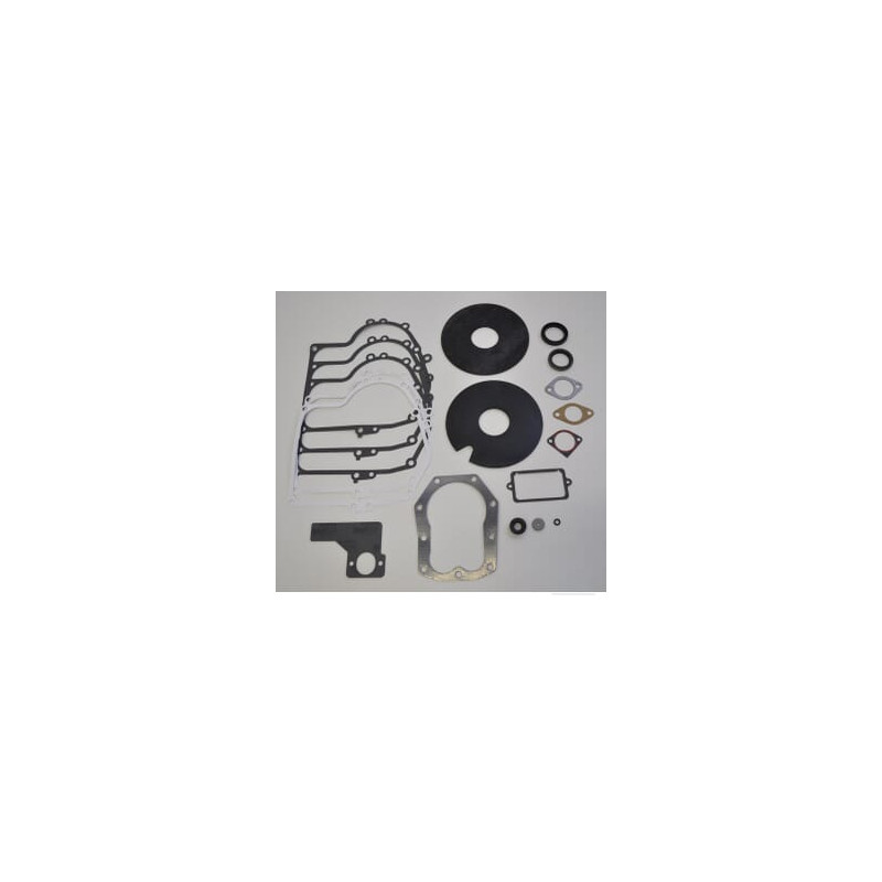 Briggs et Stratton 492653 Kit de joints
