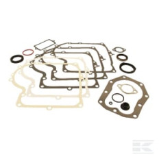 Briggs et Stratton 494241 Kit de joints