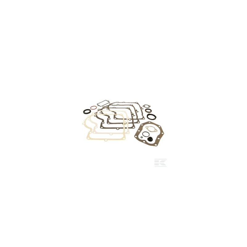 Briggs et Stratton 494241 Kit de joints