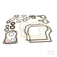 Briggs et Stratton 495603 Kit de joints