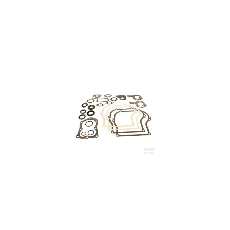 Briggs et Stratton 495603 Kit de joints