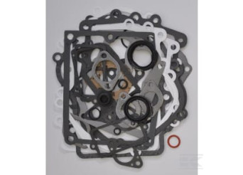 Briggs et Stratton 495868 Kit de joints