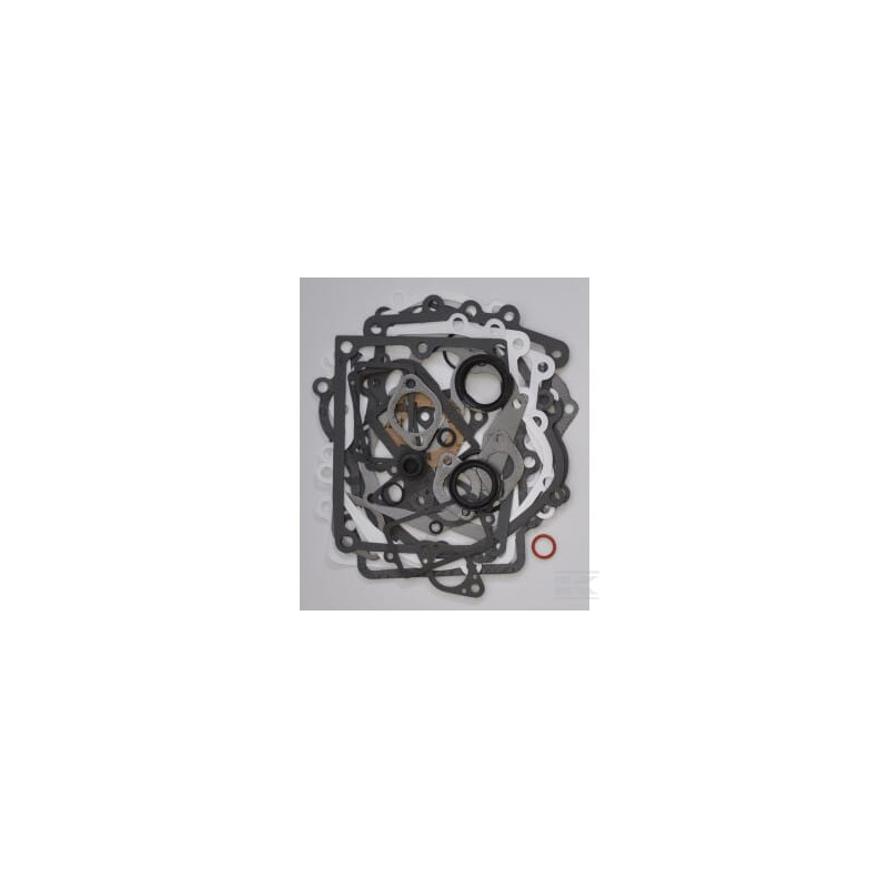Briggs et Stratton 495868 Kit de joints