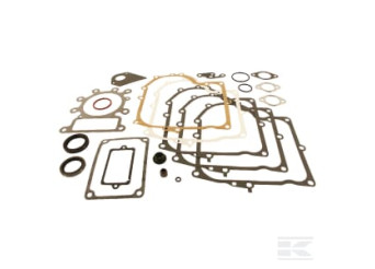 Briggs et Stratton 495993 Kit de joints