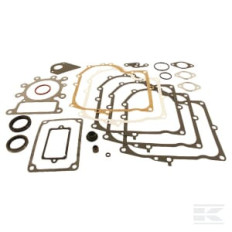 Briggs et Stratton 495993 Kit de joints
