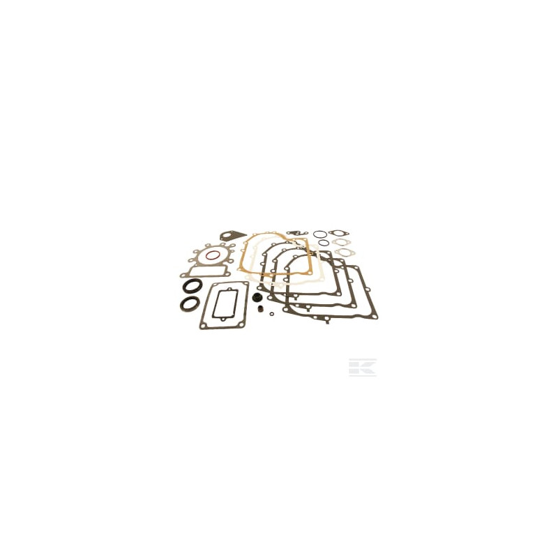 Briggs et Stratton 495993 Kit de joints