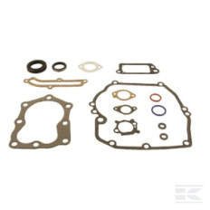 Briggs et Stratton 496117 Kit de joints
