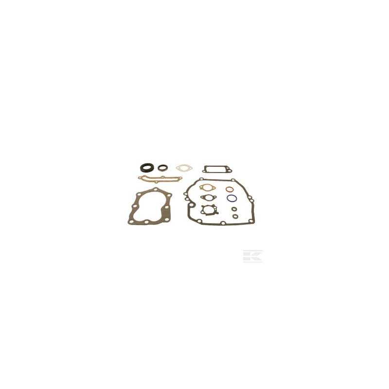 Briggs et Stratton 496117 Kit de joints
