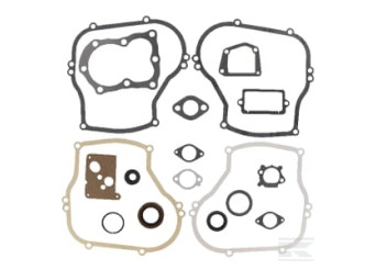 Briggs et Stratton 496659 Kit de joints