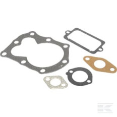 Briggs et Stratton 795972 Kit d'étanchéité, soupape