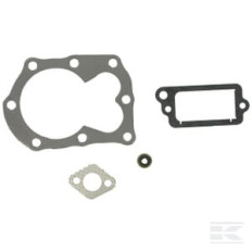 Briggs et Stratton 498526 Kit de joints OVHL