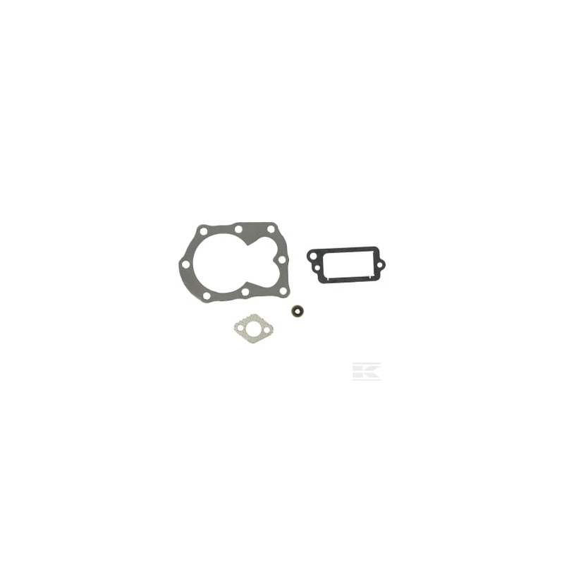 Briggs et Stratton 498526 Kit de joints OVHL