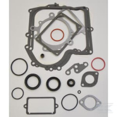 Briggs et Stratton 690189 Kit de joints