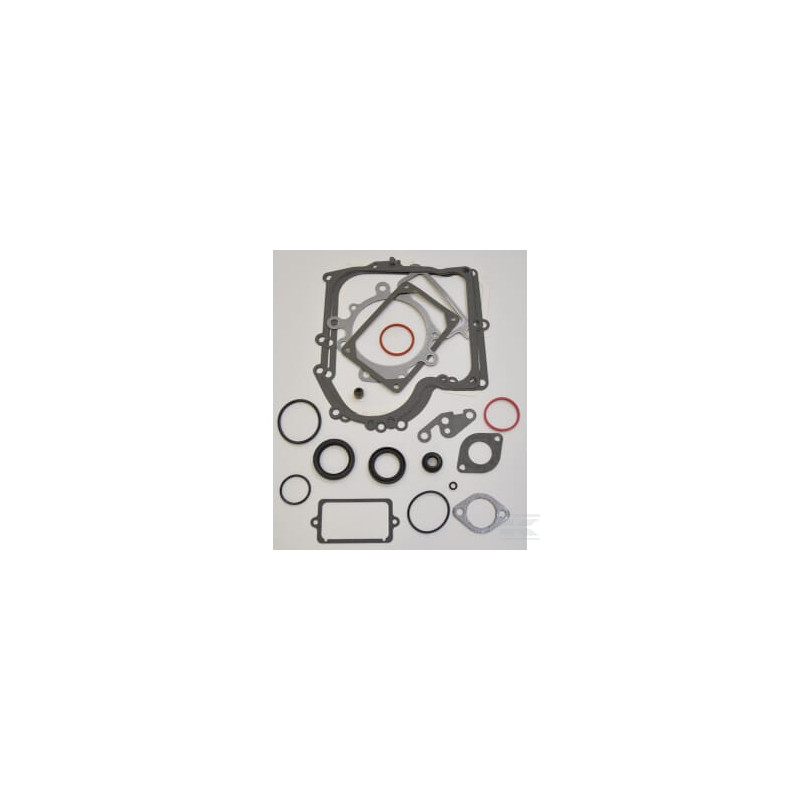 Briggs et Stratton 690189 Kit de joints