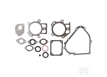 Briggs et Stratton 695438 Kit de joints