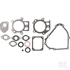 Briggs et Stratton 695438 Kit de joints