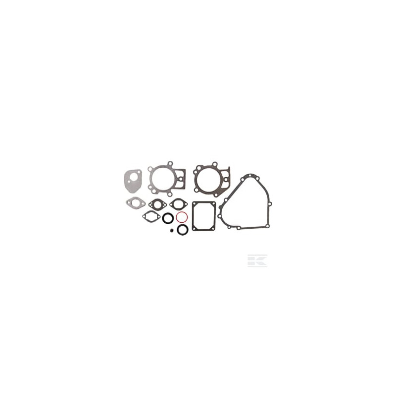 Briggs et Stratton 695438 Kit de joints