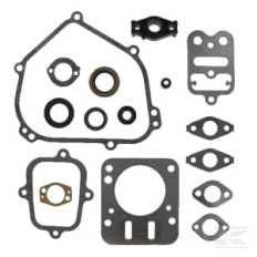 Briggs et Stratton 698216 Kit de garniture