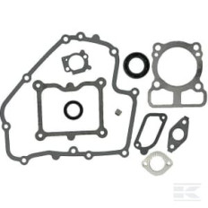 Briggs et Stratton 793623 Kit de joints