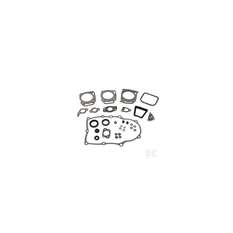 Briggs et Stratton 84006737 Jeu de joints