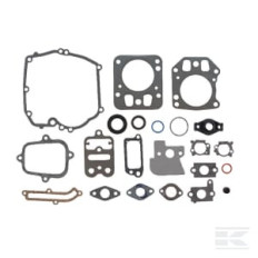 Briggs et Stratton 795442 Kit de joints