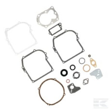 Briggs et Stratton 795971 Kit de joint moteur