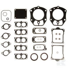 Briggs et Stratton 841122 Kit de joints