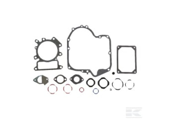 Briggs et Stratton 796187 Kit de joints moteur