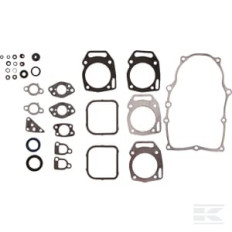 Briggs et Stratton 84010902 Jeu de joints