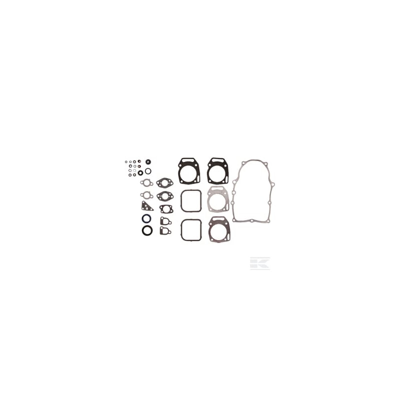 Briggs et Stratton 84010902 Jeu de joints