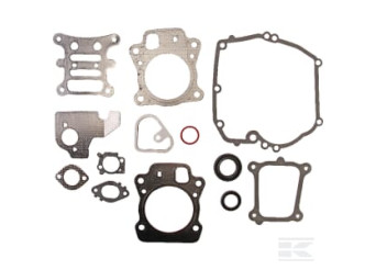 Briggs et Stratton 592173 Gasket set-engine