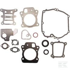 Briggs et Stratton 592173 Gasket set-engine