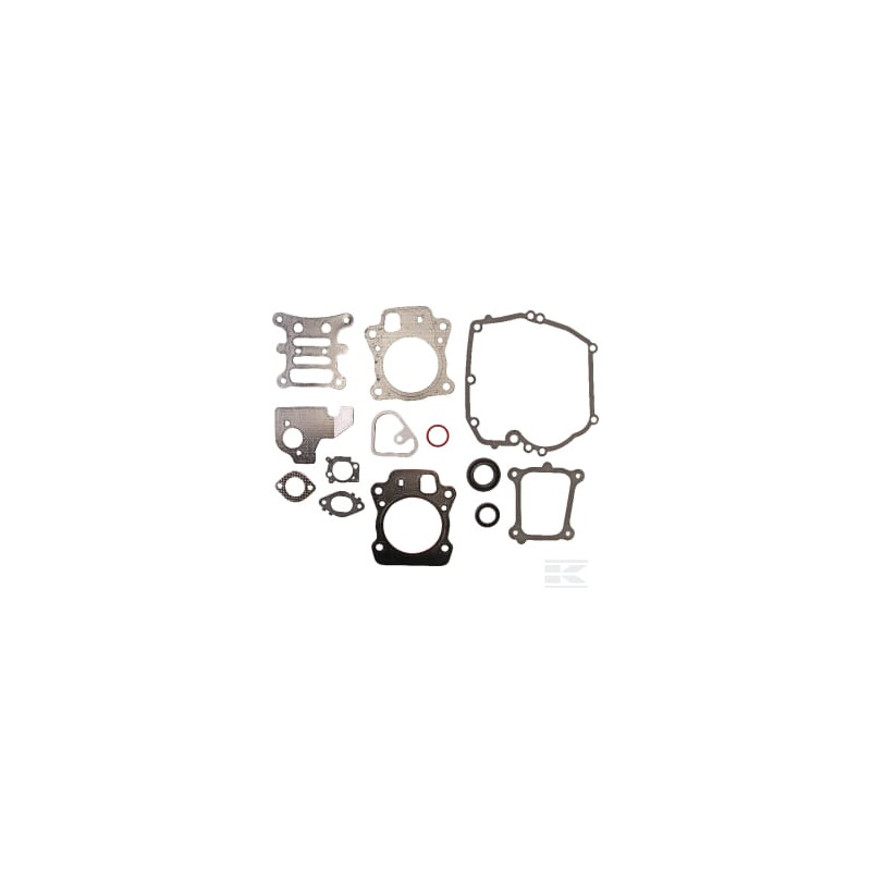 Briggs et Stratton 592173 Gasket set-engine